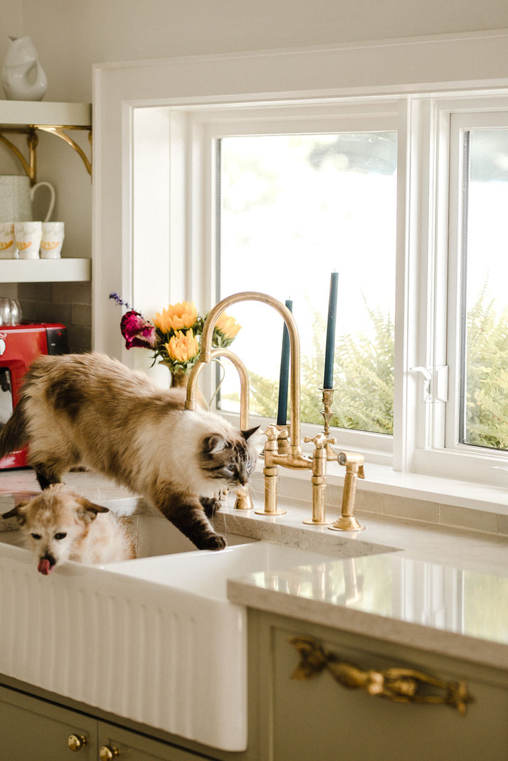 Kitchen Faucets