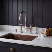Polished Nickel Bridge Kitchen Faucet