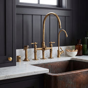 Kova Kitchen Faucet with Side Sprayer